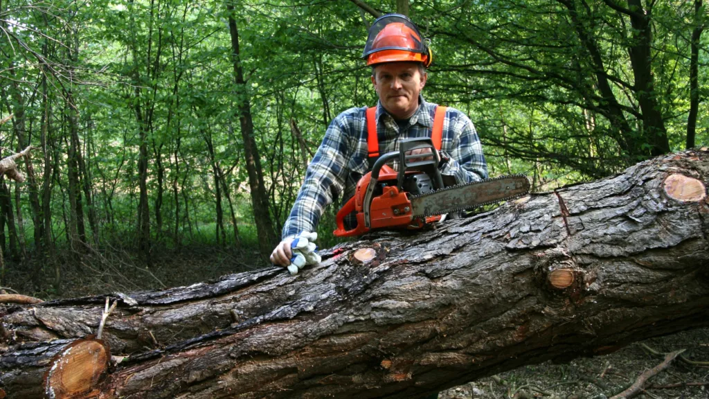 Choosing the Right Forestry Mulching Contractor