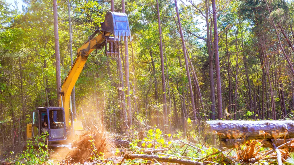 Eco-Friendly Approaches to Grading and Land Clearing
