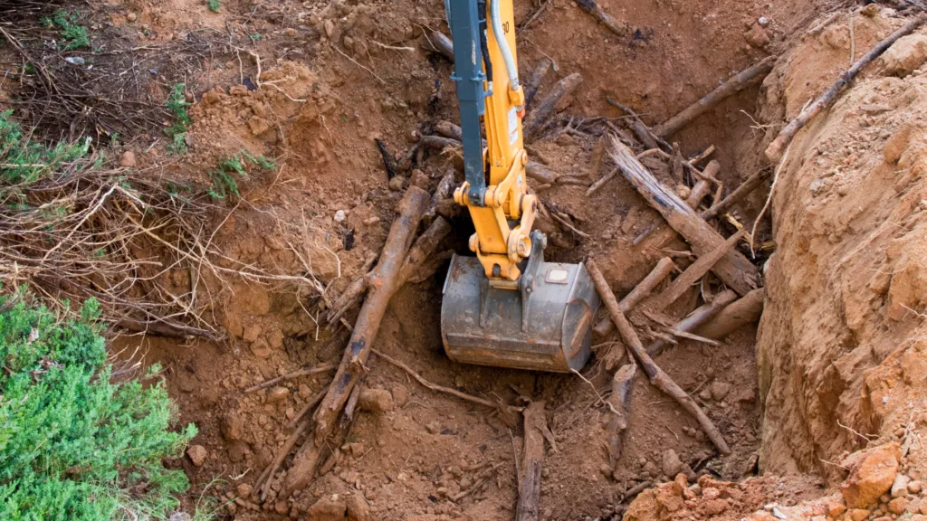 The Difference Between Land Clearing and Grading