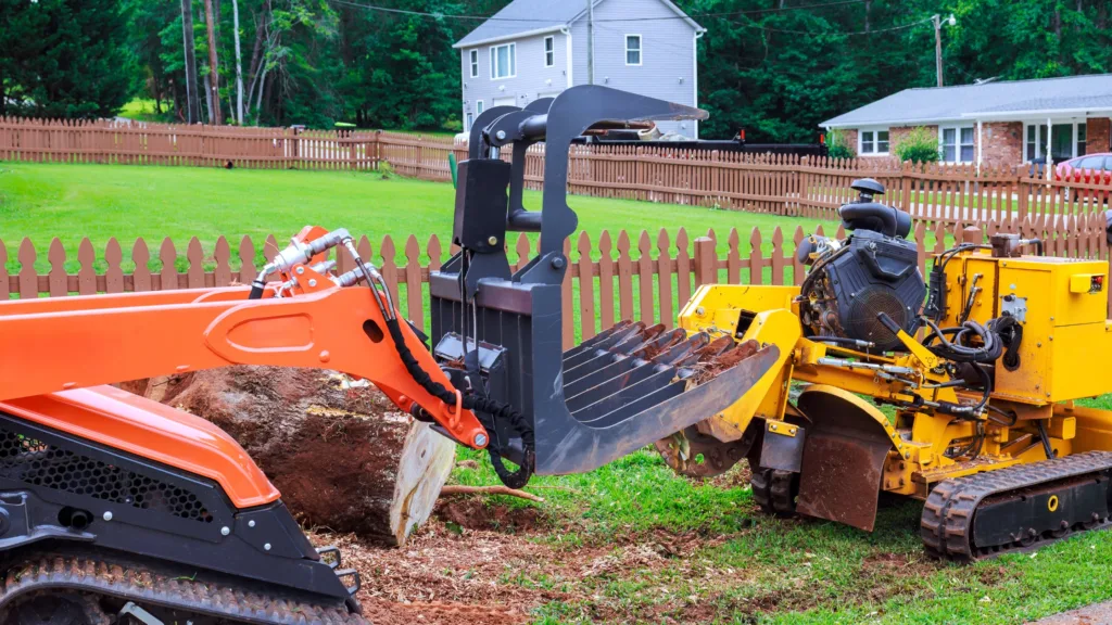 Land Clearing Services Near You - Clean, Clear, Ready