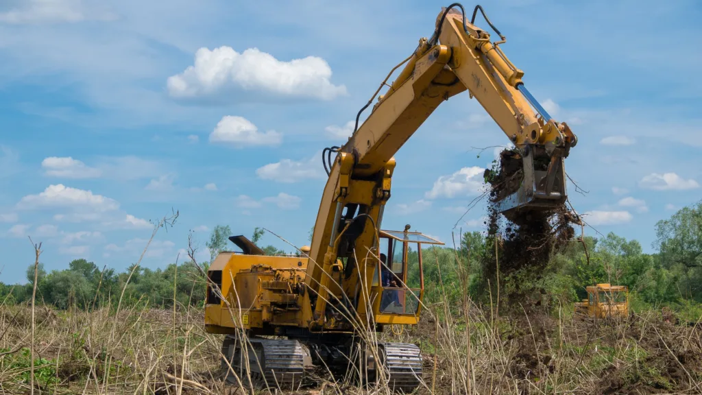 Affordable Land Clearing Solutions