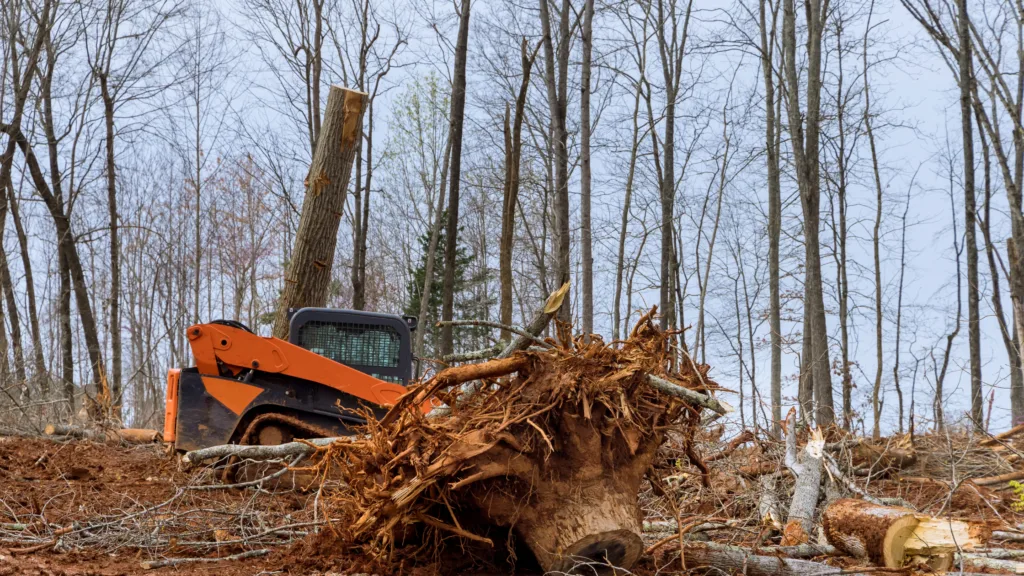 Affordable Land Mulching Services
