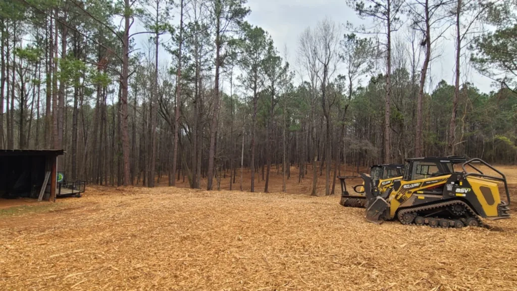 Land Reclamation Services