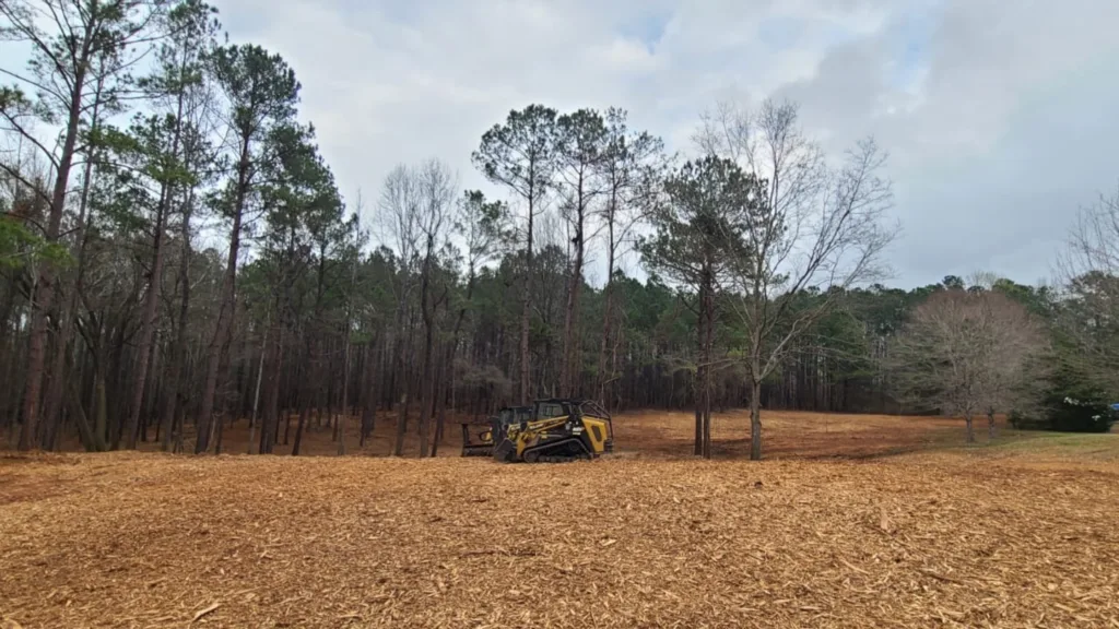 Land Reclamation Services Guide